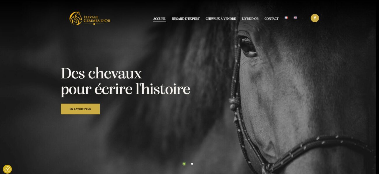 Visuel site Les Gemmes d'Or